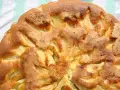 Saftiger apfelkuchen ohne mehl, mit goldbrauner Kruste und sichtbaren Apfelstücken. Perfekt für eine leichte Leckerei.