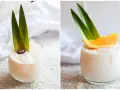 Zwei Gläser cremiger, alkoholfreier Piña Colada, garniert mit Ananasblättern und einer Orangenscheibe bzw. einer Beere.