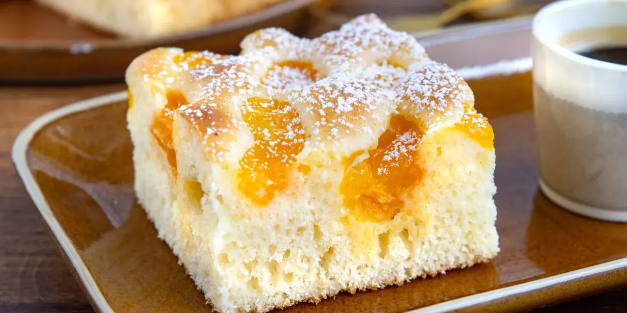 Ein Stück saftiger Buttermilchkuchen mit Mandarinen, bestäubt mit Puderzucker, auf einem braunen Teller neben einer Tasse Kaffee.