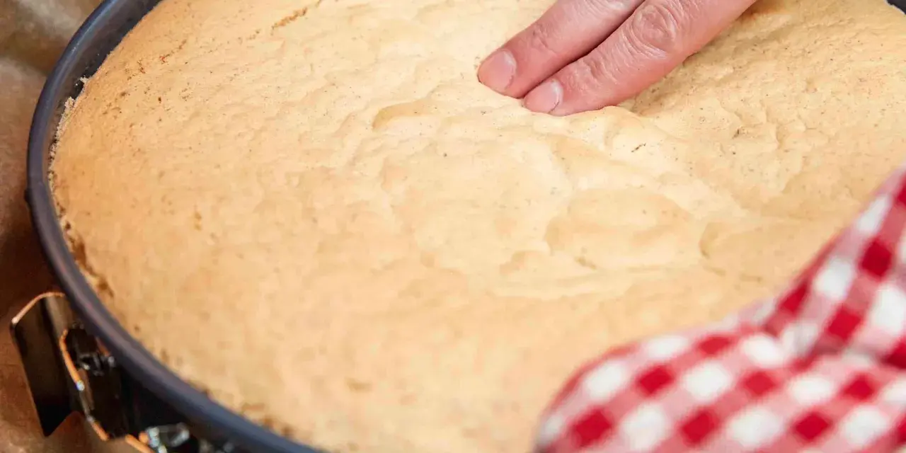 Ein Finger prüft die Elastizität eines frisch gebackenen Wiener Bodens. Das perfekte Wiener Boden Rezept gelingt so!