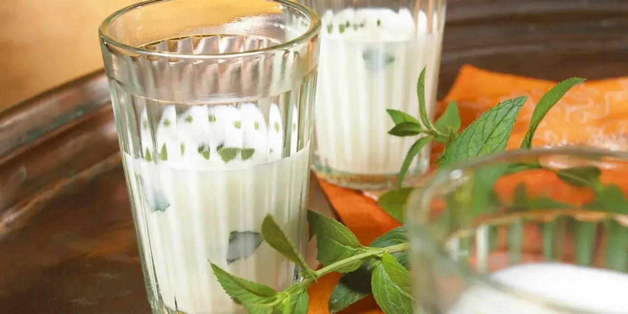 Erfrischender Ayran selber machen: Joghurtgetränk mit Minze in Gläsern auf einem Tablett.
