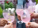 Freunde stoßen mit erfrischenden Sarti Spritz an. Rosa Drinks mit Limette und Eis in Gläsern.