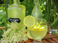 Erfrischendes Getränk mit selbstgemachtem Holunderblütensirup, Zitrone und Minze. Perfekt für den Sommer!