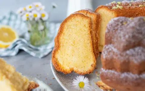 Saftiger Omas Joghurt Kuchen, frisch gebacken und mit Puderzucker bestäubt, daneben eine Zitronenscheibe und Gänseblümchen.