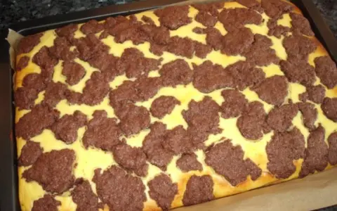 Ein frisch gebackener russischer Zupfkuchen im Blech, mit einem gelben Teig und dunklen Schokoladenstückchen darauf.