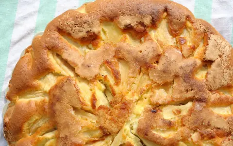 Saftiger apfelkuchen ohne mehl, mit goldbrauner Kruste und sichtbaren Apfelstücken. Perfekt für eine leichte Leckerei.