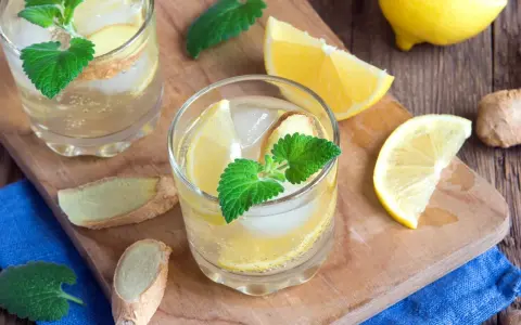 Erfrischendes Getränk mit Ingwer, Zitrone und Minze – perfekt, um Ginger Ale selber zu machen.