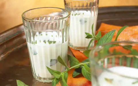 Erfrischender Ayran selber machen: Joghurtgetränk mit Minze in Gläsern auf einem Tablett.