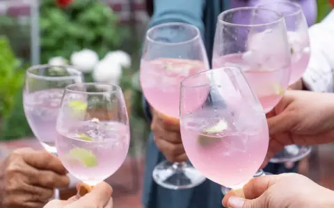Freunde stoßen mit erfrischenden Sarti Spritz an. Rosa Drinks mit Limette und Eis in Gläsern.