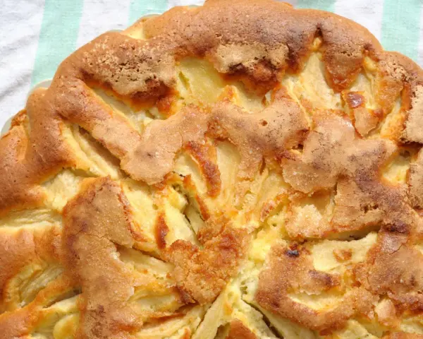 Saftiger apfelkuchen ohne mehl, mit goldbrauner Kruste und sichtbaren Apfelstücken. Perfekt für eine leichte Leckerei.