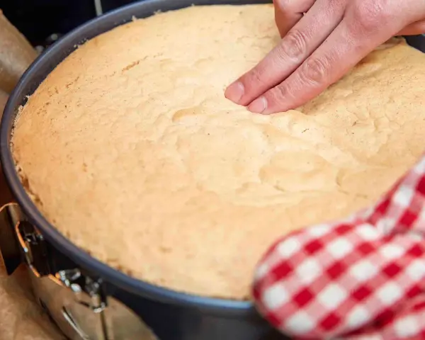 Ein Finger prüft die Elastizität eines frisch gebackenen Wiener Bodens. Das perfekte Wiener Boden Rezept gelingt so!
