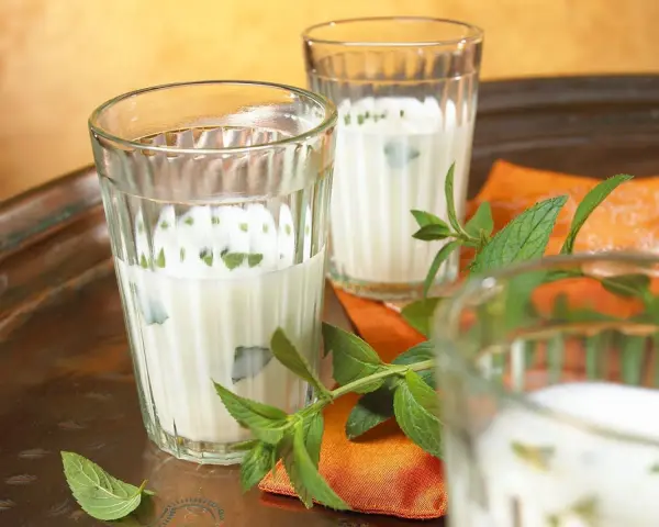 Erfrischender Ayran selber machen: Joghurtgetränk mit Minze in Gläsern auf einem Tablett.