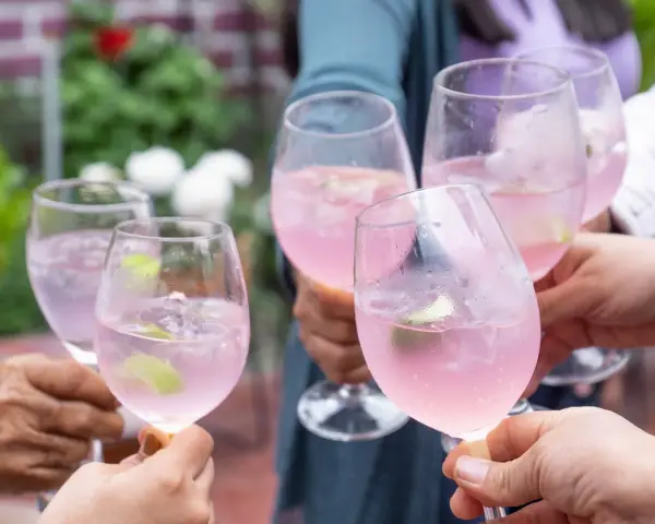 Freunde stoßen mit erfrischenden Sarti Spritz an. Rosa Drinks mit Limette und Eis in Gläsern.
