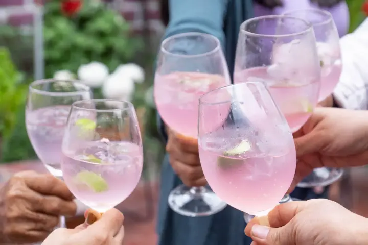Freunde stoßen mit erfrischenden Sarti Spritz an. Rosa Drinks mit Limette und Eis in Gläsern.