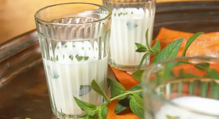 Erfrischender Ayran selber machen: Joghurtgetränk mit Minze in Gläsern auf einem Tablett.