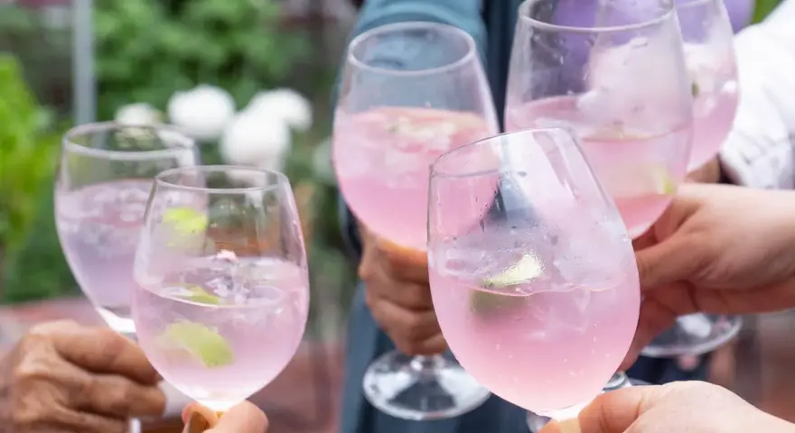 Freunde stoßen mit erfrischenden Sarti Spritz an. Rosa Drinks mit Limette und Eis in Gläsern.