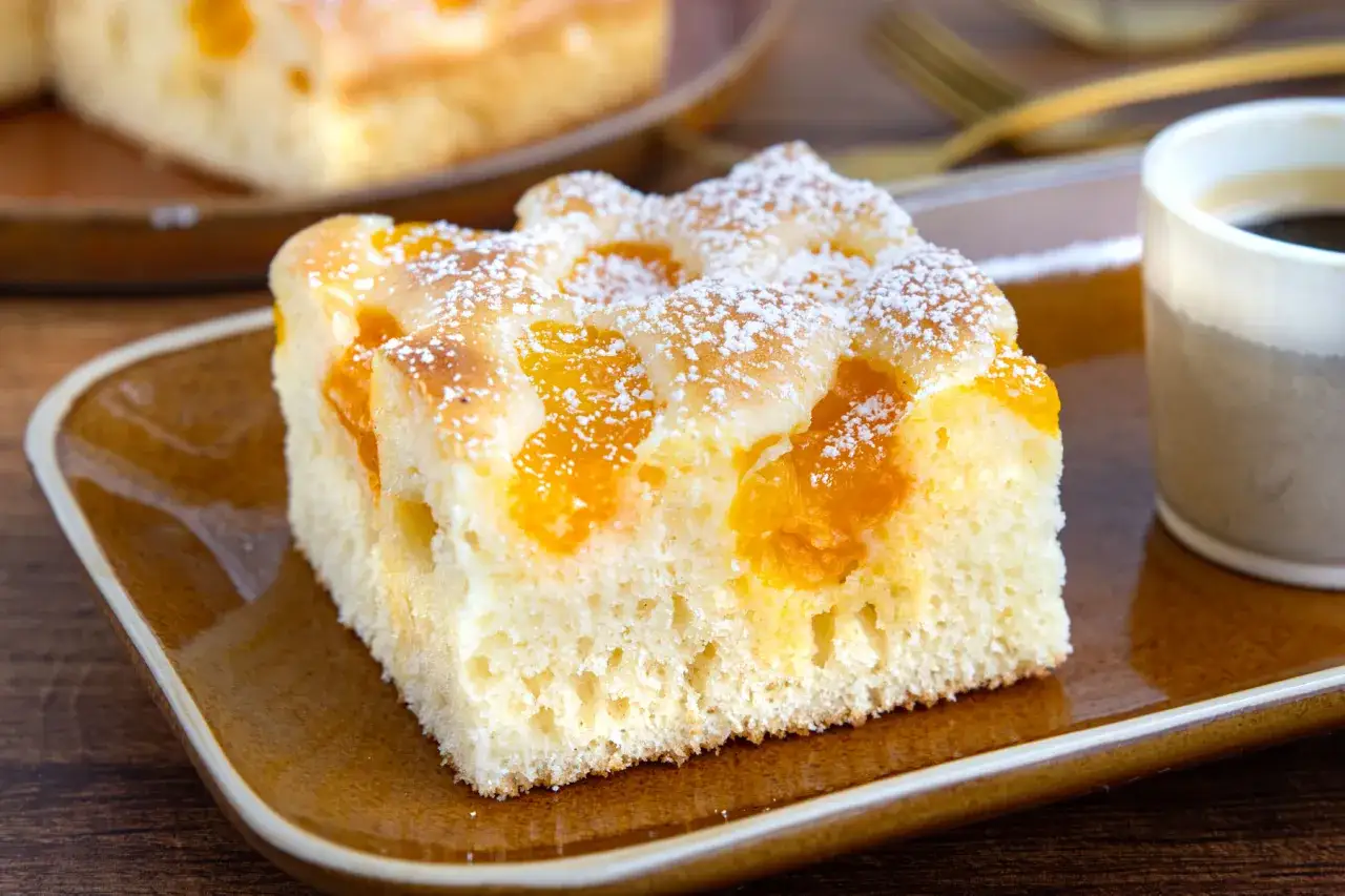 Ein St&uuml;ck saftiger Buttermilchkuchen mit Mandarinen, best&auml;ubt mit Puderzucker, serviert auf einem braunen Teller neben einer Tasse Kaffee.