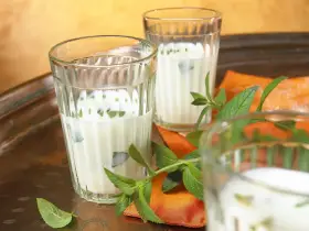 Erfrischender Ayran selber machen: Joghurtgetränk mit Minze in Gläsern auf einem Tablett.