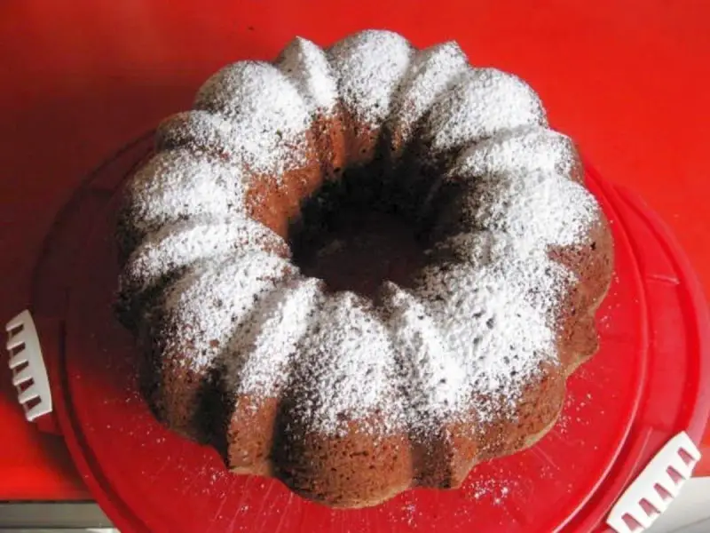 Omas Nusskuchen Gugelhupf, mit Puderzucker bestäubt, auf einem roten Teller.
