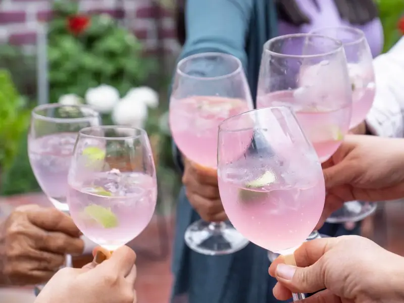 Freunde stoßen mit erfrischenden Sarti Spritz an. Rosa Drinks mit Limette und Eis in Gläsern.